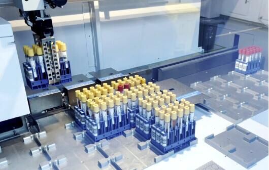 ˳�Ὣ������չ����Χ