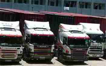 �������������ר��/������������䱨��